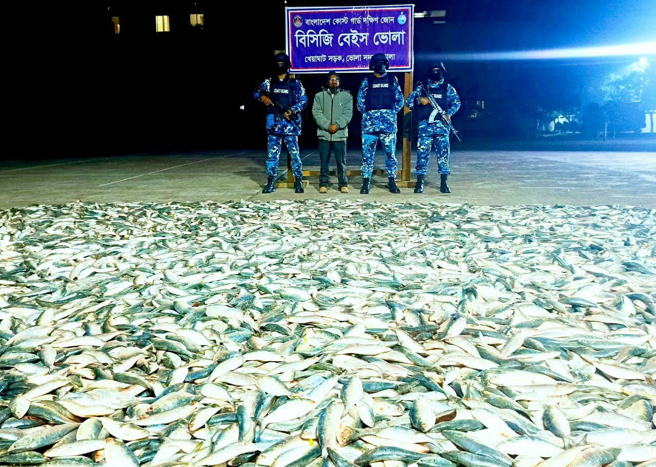 ভোলায় ১৬ টন নিষিদ্ধ জাটকা ইলিশ জব্দ করলো কোস্ট গার্ড