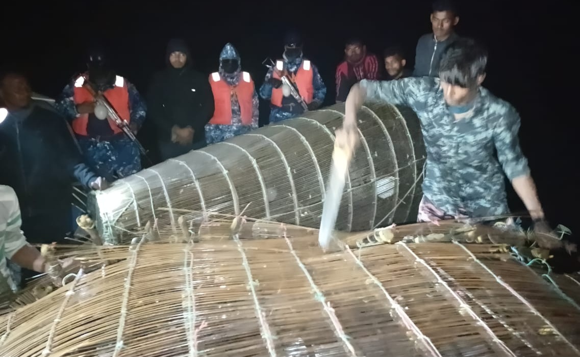 ভোলা’র মনপুরায় ১৩০ মন পাঙ্গাসের পোনাসহ ২৬টি অবৈধ চাই জব্দ