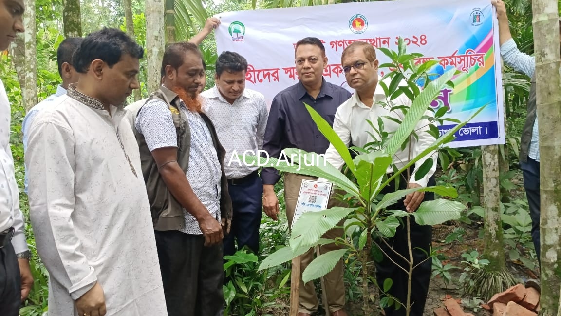 জুলাই গণঅভূত্থান’২৪ এ শহীদের স্মরণে ভোলায় এক শহীদ এক বৃক্ষ কর্মসূচি শুরু